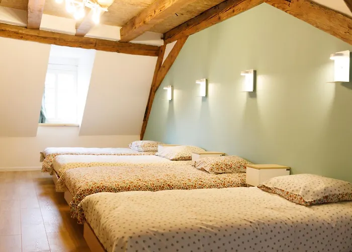 Le 101 D'alsaciens Vakantiehuis Saverne