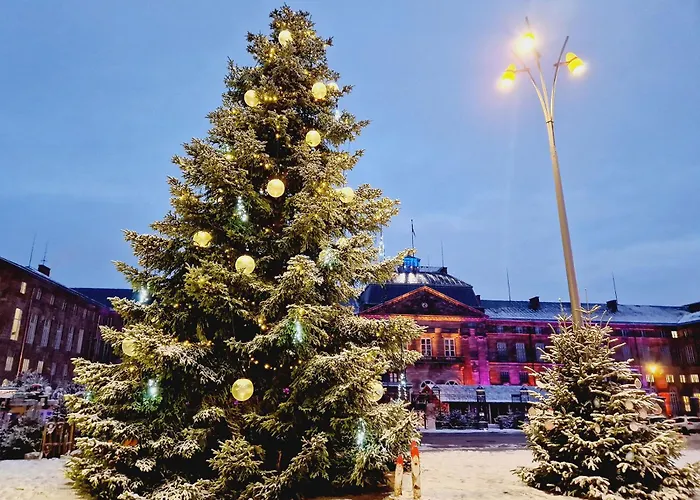 Vakantiehuis Le 101 D'alsaciens