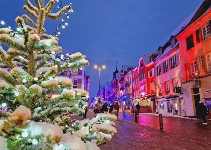 Le 101 D'alsaciens Vakantiehuis *